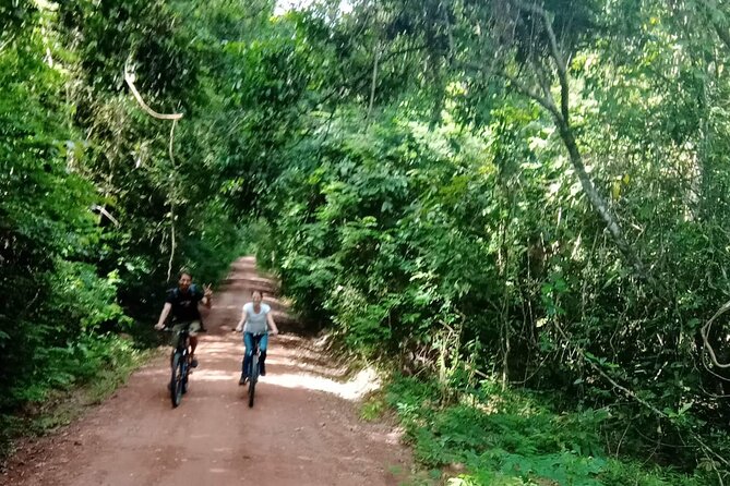 Sunset or sunrise bicycle tour around Angkor Wat and nearby temples - Price and What $45 Really Buys You in Siem Reap