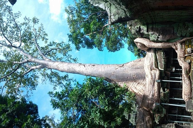 The Magnificent Angkor Wat - Cost and value: what $36.33 covers, and what the day actually costs