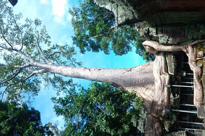 The Magnificent Angkor Wat - Who this tour is best for, and who should rethink the format