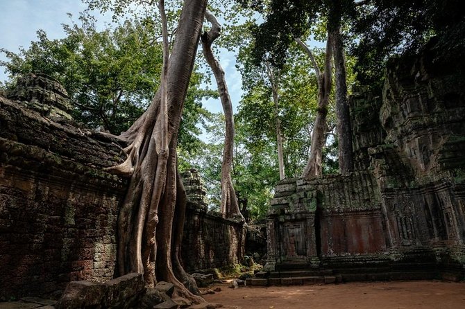 The Ultimate Angkor Wat Temple Private Day Trip - Ta Prohm stop: the jungle-tree temple mood