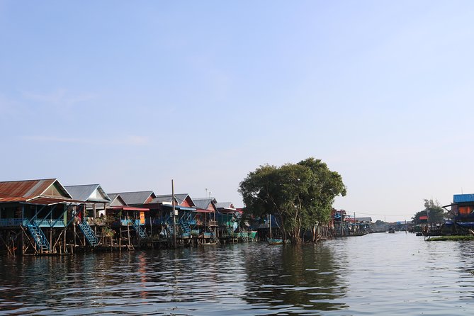 Tonle Sap Lake - Fishing Village & Flooded Forest - Kampong Phluk Floating Village: The Flooded Forest from the Best Angle