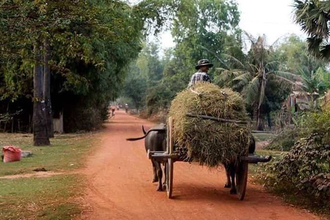 Tuk Tuk Journey: Exploring Rural Life and Silk Farm Craftsmanship - Key things to love about this Siem Reap rural outing
