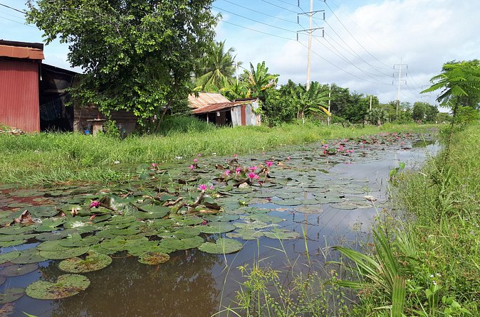 Tuk Tuk Journey: Exploring Rural Life and Silk Farm Craftsmanship - Wat ខ្នាតរង្សី (វត្តខ្នាតរង្សី): a Buddhism learning stop with a blessing