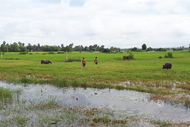 Tuk Tuk Journey: Exploring Rural Life and Silk Farm Craftsmanship - How long it takes, what to wear, and how to prep