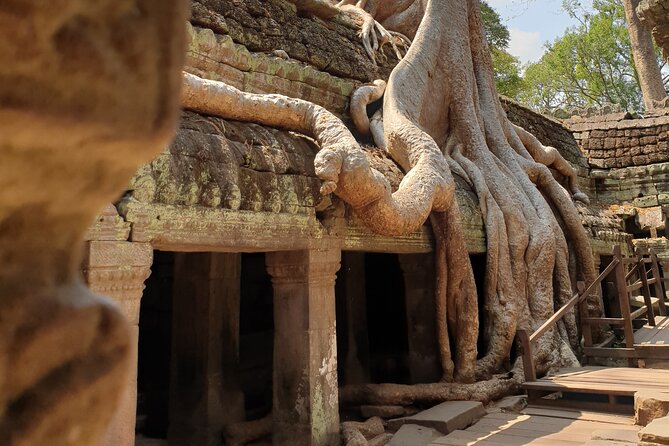 Two Days Angkor Tour - Lunch time: a small break that keeps the whole day enjoyable