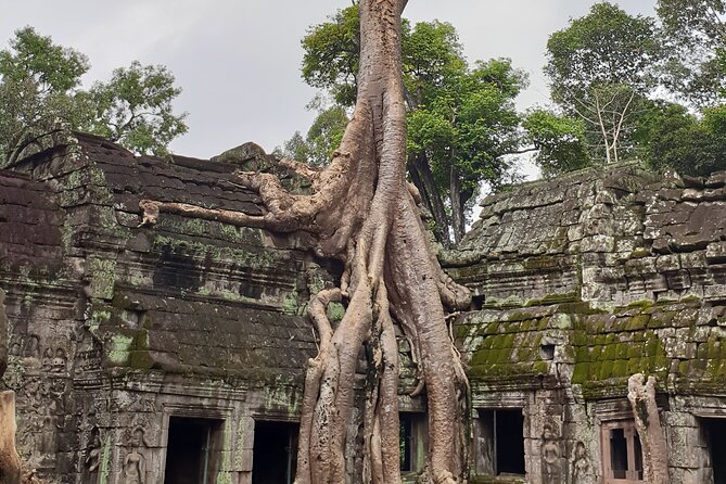 Two Days Angkor Tour - Transport and comfort: A/C helps, but you still plan like it’s hot