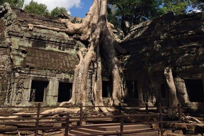 Ultimate Siem Reap Food Tour by Tuk Tuk - 20 Tastings, 8 Stops - Alcohol, special diets, and how to handle the adventurous options