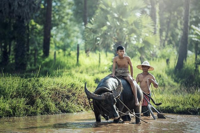 Village Life Tour from Siem Reap - Key highlights worth getting excited about