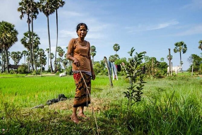 Village Life Tour from Siem Reap - School and Temple Visits: Meeting the Community Beyond the Workshop