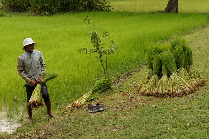Village Life Tour from Siem Reap - The Host Village: Basket-Weaving, Rice Wine, and Everyday Skills