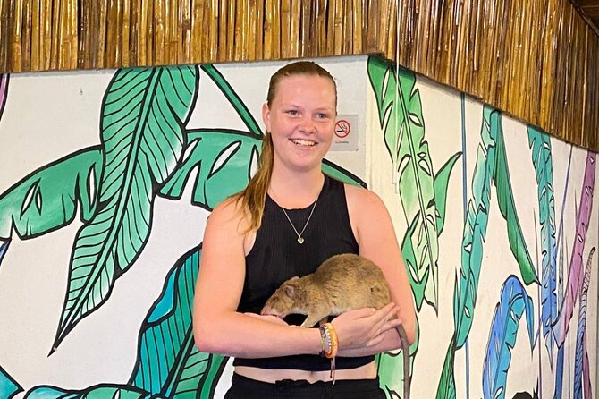 War Museum, Killing Field, and APOPO Hero RATs Tour - Timing, comfort, and what the $75 buys you