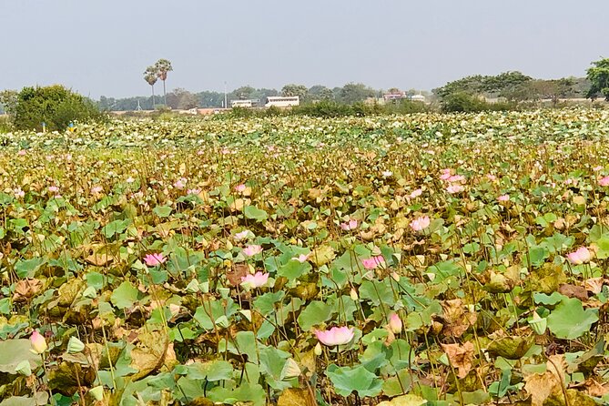 War Museum, Killing Field and Floating village ( Chong Kneas) Tour - Who this tour is best for (and who should think twice)